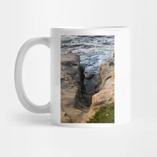 Scenes From Shell Beach In La Jolla - 5 © Mug